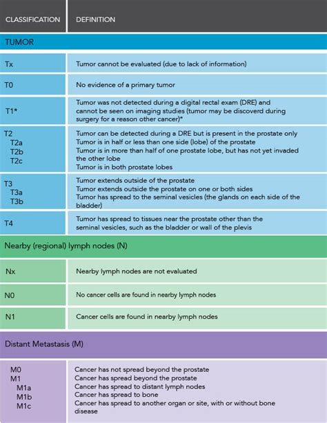 Stages Of Cancer Chart A Visual Reference Of Charts Chart Master