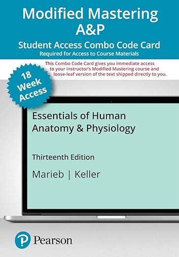 Amazon Essentials Of Human Anatomy Physiology Modified