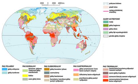 Systematyka Gleb Geografia24 Pl