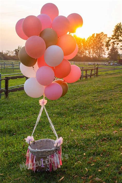 Palloncini Mongolfiera In Vendita A Samarate Varese Da Mazzucchellis