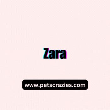 180+ Persian Cat Names - Funny And Cute Ideas