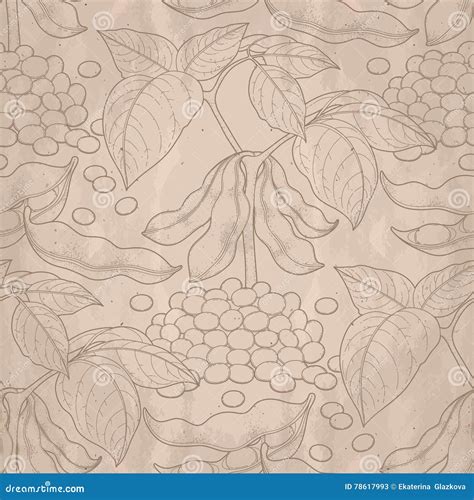 Graphic Soybean Collection Stock Vector Illustration Of Fabric 78617993