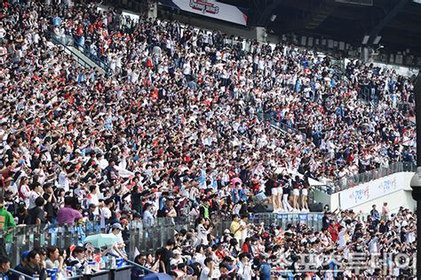 악재에도 순항 Kbo 101경기 만에 100만 관중 돌파 네이트 스포츠