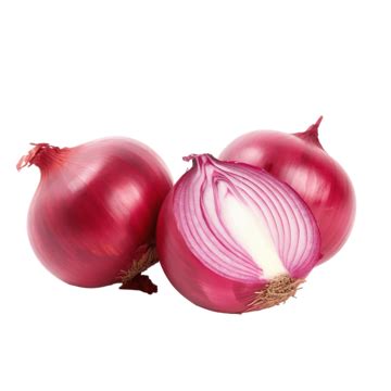 Onion PNG Vector PSD And Clipart With Transparent Background For