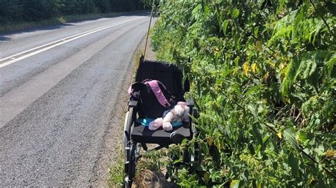 Somerset Woman Stages Naked Protest At Overgrown Hedge Bbc News