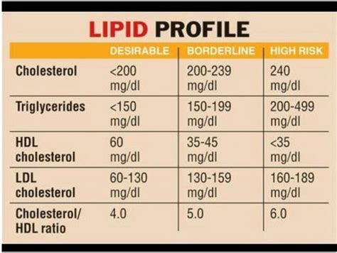 Lipid Profile Test Lipid Profile Blood Test In Delhi Ayushkama