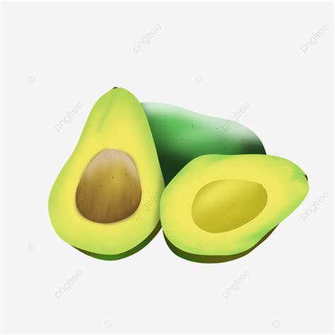 Avocado Fruit Food Avocado Fruit Fruits Png Transparent Clipart