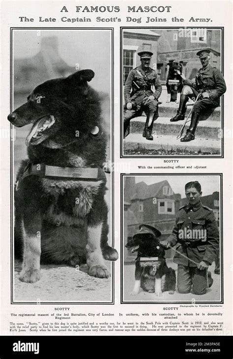 A Famous Mascot Captain Scott Dog Joins The Army Stock Photo Alamy