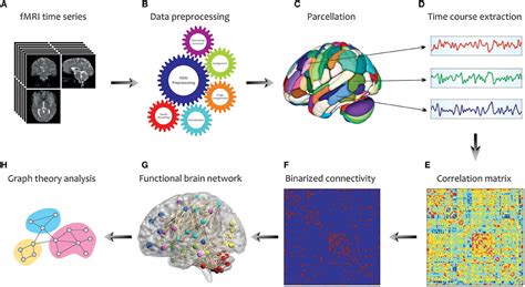 Modelling The Relationship Between Structural And Functional