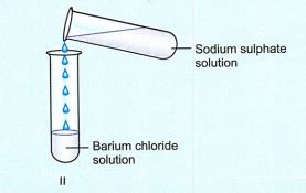 The Correct Experiment Set Up To Study The Reaction Between Barium