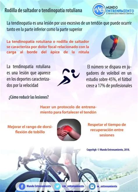 Rodilla De Saltador O Tendinopat A Rotuliana Mundo Entrenamiento