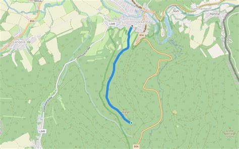 East Austrian Glw Forest Variant Hiking Trail Lockenhaus