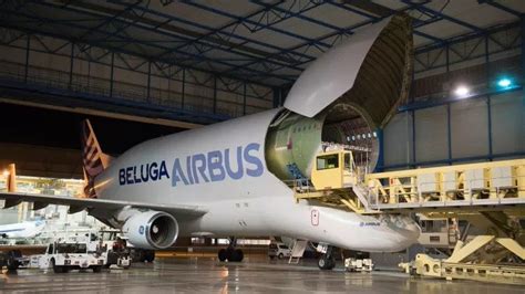 Baleia Veja Imagens Do Ex Tico Avi O Airbus Beluga Por Dentro