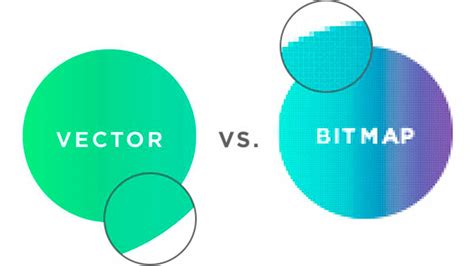 Formato vectorial qué es y qué ventajas tiene Gráficas Netor