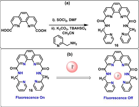 Scheme 11. (a) Synthesis scheme of fluorophore 16. (b) The proposed ...