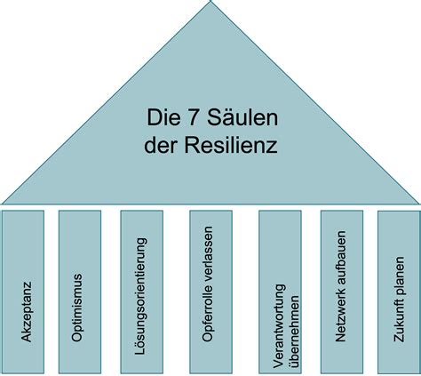 Resilienz Unser Mentales Immunsystem