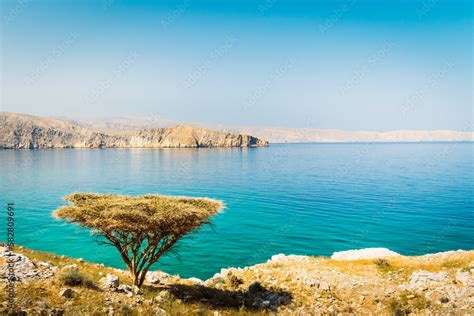 Beautiful Sunny Arid Oman Landscape In Persian Gulf Bay With Turquoise