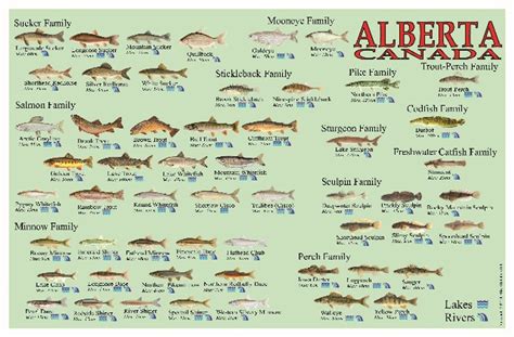 Alberta Fish ID Card | Scuba Gear Canada