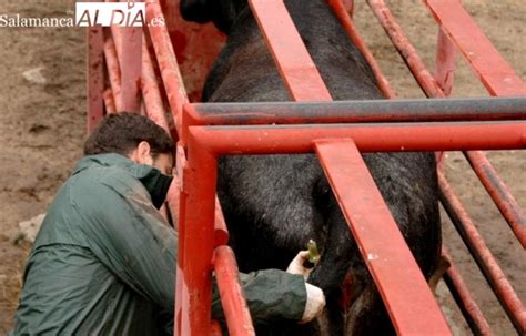 La Junta Anuncia Ayudas Para Combatir La Tuberculosis Tuberculosis