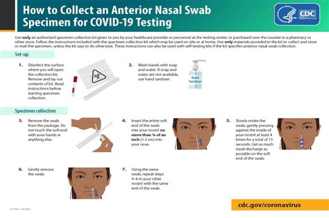 Nasal Swab: How-To-Guide | USC Student Health