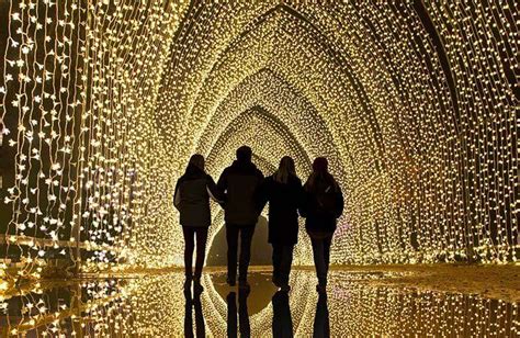 Les Sentiers Lumineux De Noël Au Parc Floral De Paris Réservation De