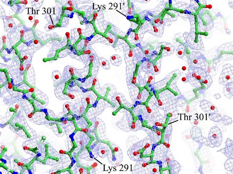 The Electron Density Map For Part Of Helix 8 Which Interacts In An