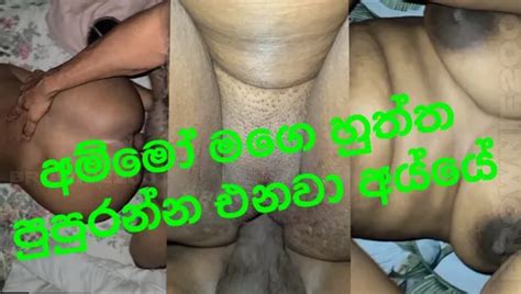 Free Brownie Porn Videos XHamster