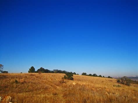 Dry Grassland On A Hill Free Stock Photo Public Domain Pictures