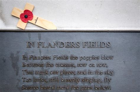 John McCrae S In Flanders Fields Still Stirs Hearts Almost A Century