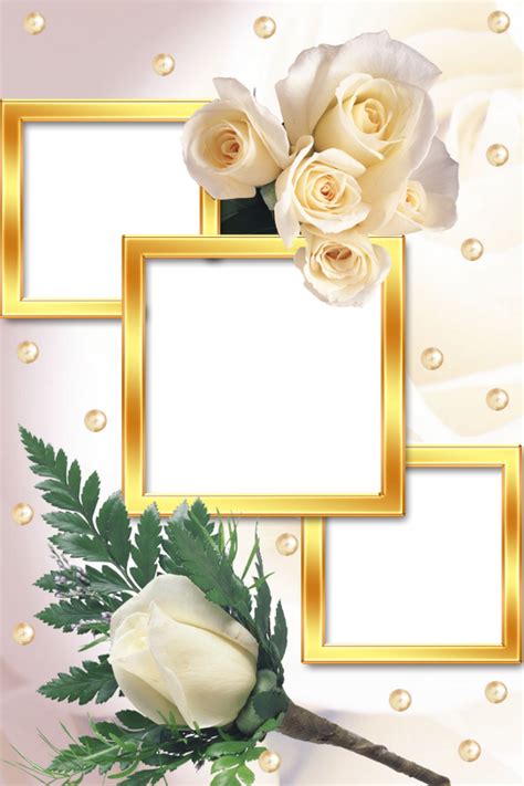 Photo Frame Wallpaper Framed Wallpaper Flower Background Wallpaper