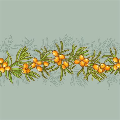 Premium Vector Sea Buckthorn Vector Pattern