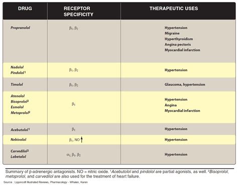 Beta Sympatholytics Beta Blockers Manual Of Medicine