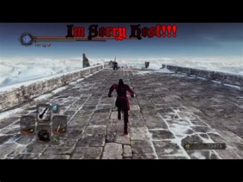 Dark Souls 2 MAx LVL Invasion I Feel Bad For This One YouTube