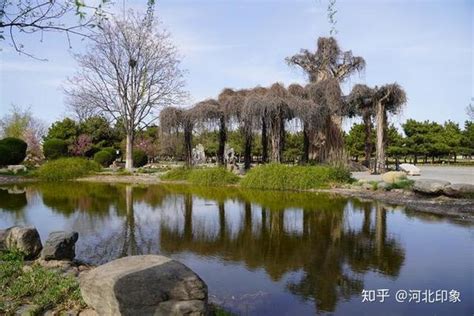 【河北印象】石家庄植物园——风景如画 知乎