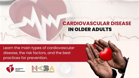 Cardiovascular Disease In Older Adults Youtube