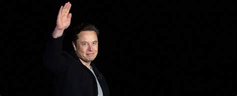 L Accordo Tra Musk E Twitter Rischia Davvero Di Saltare Per Gli Account