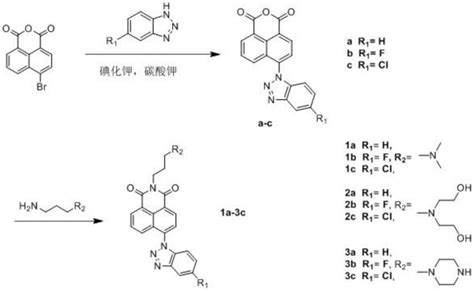 一种18萘酰亚胺衍生物及其制备方法与应用与流程