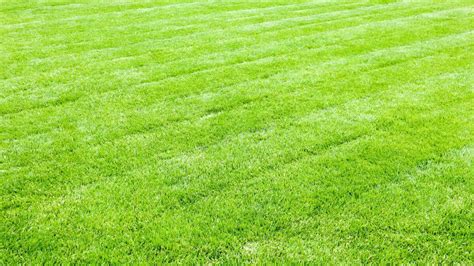 Lawn Mowing Patterns: A Simple How-To Guide – Trimyxs