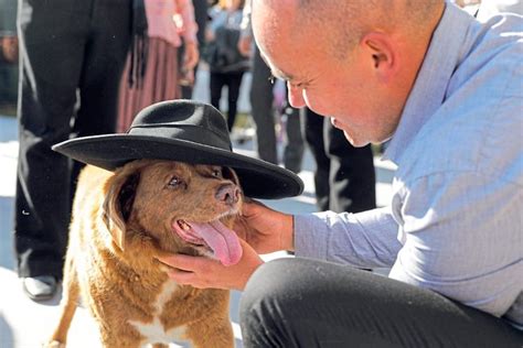 Ältester Hund der Welt mit 31 Jahren und fünf Monaten gestorben