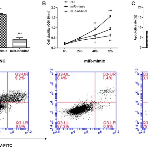 Mir 193a 3p Promoted Cell Proliferation And Inhibited Cell Apoptosis In Download Scientific