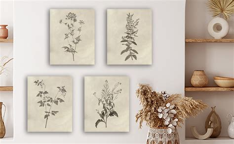 Amazon 𝗗𝗿𝘀𝗼𝘂𝗺 Botanical Plant Wall Art Vintage Flower Prints Boho