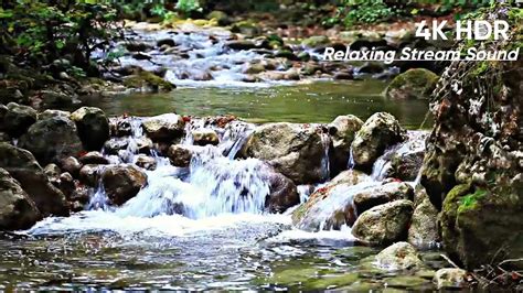 4k Hdr Relaxing Stream Sound Bird Chirping Peaceful Forest Stream To