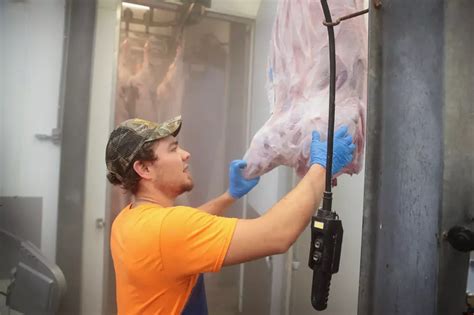 TV Show Casting For Best Butcher Competition