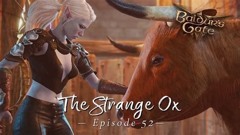 Baldurs Gate 3 The Strange Ox Lets Play Episode 52 Youtube