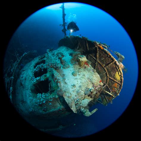 Ocean Safari Scuba | Blog | Mysterious Deep