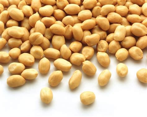 Eating Peanuts Early Could Prevent Allergy In Infants Study