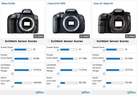 Nikon D5300 Dslr Camera Test Results Daily Camera News