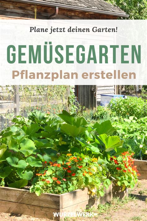 Wie du einen Anbauplan für deinen Gemüsegarten erstellst Beispielplan