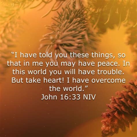 John 1633 I Have Told You These Things So That In Me You May Have