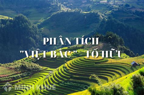 Phân tích bài thơ Việt Bắc của nhà tơ Tố Hữu hay nhất